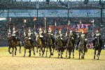 Cavalry - 00293